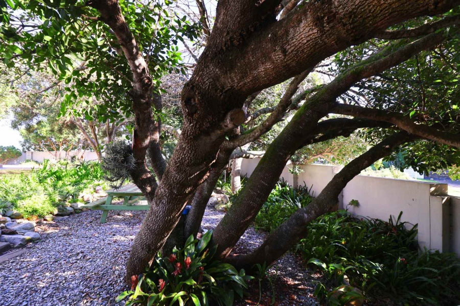 4 Bedroom Property for Sale in Vermont Western Cape